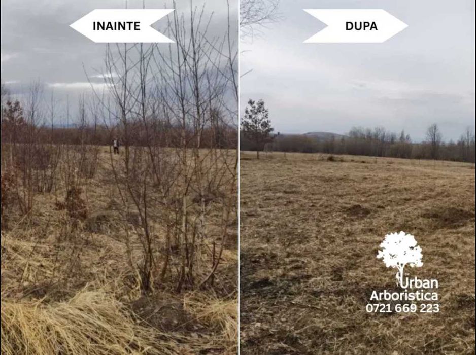 Defrișare Teren Cosire Curățare Grădină Cluj