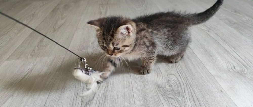 Мвльчики 1.5 мес