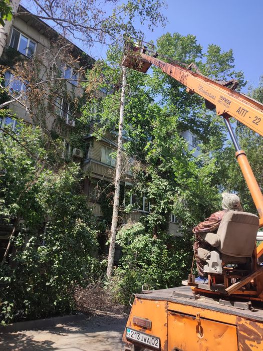 спил деревьев любой сложности