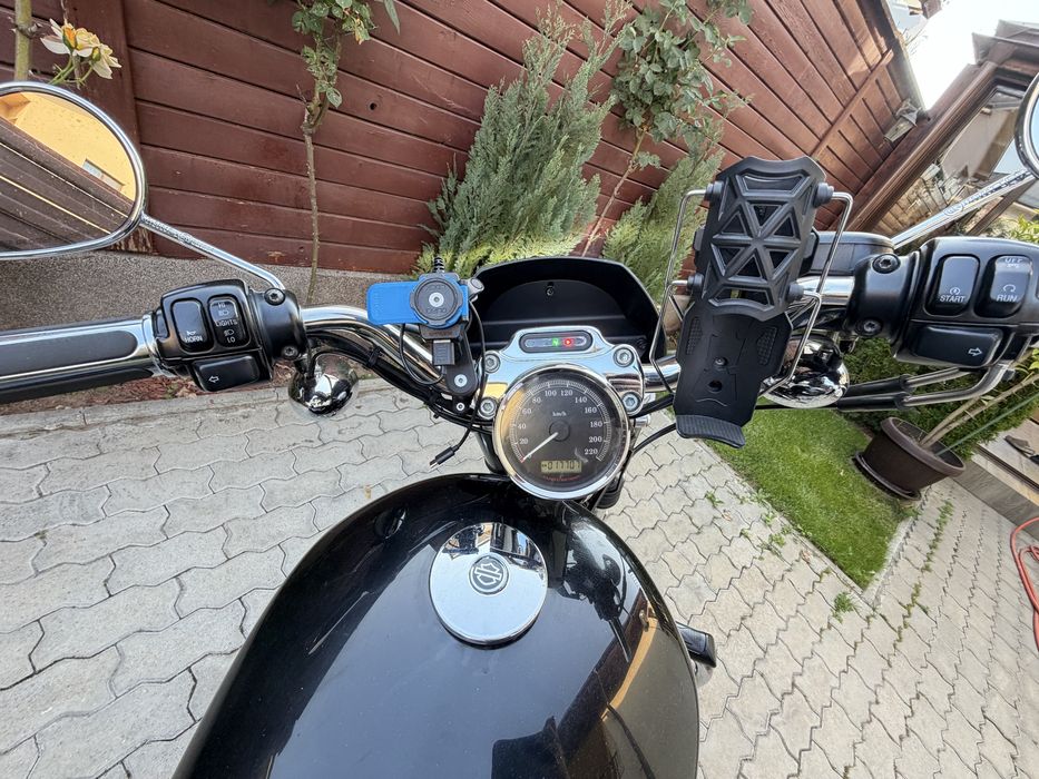 Harley davidson 883 custom