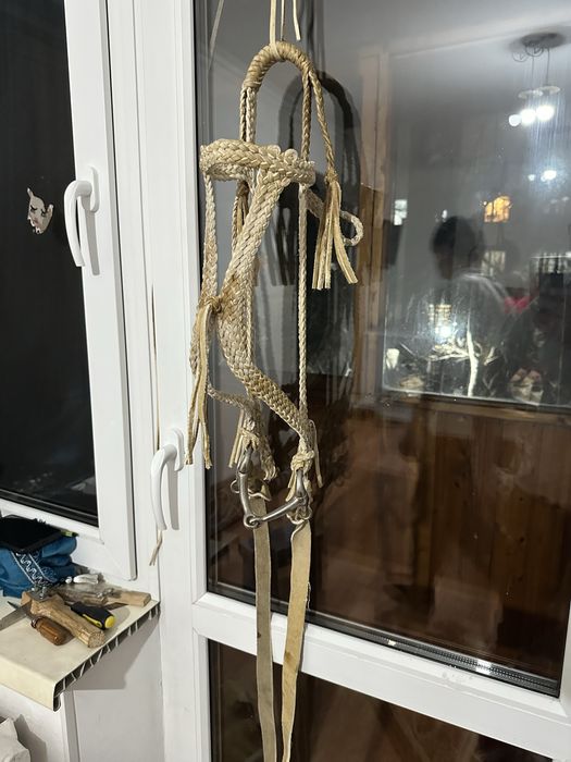 Қайыс жүген