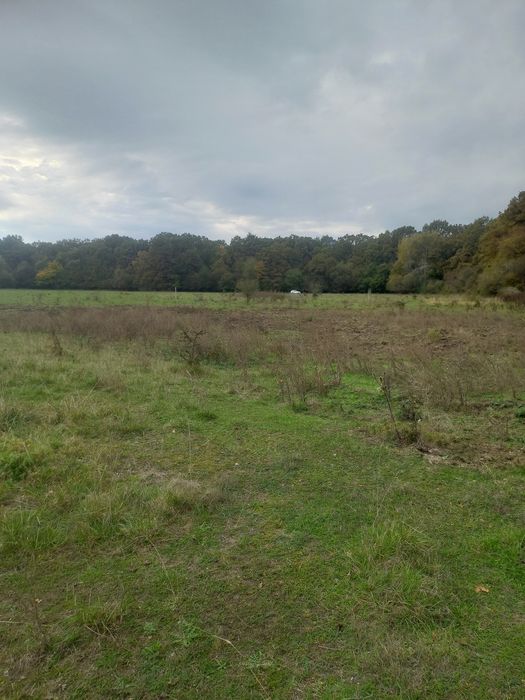 Teren Harman (parcele) extrevilan, construcții A-frame, construcții cabane pe piloni, containare  modulare