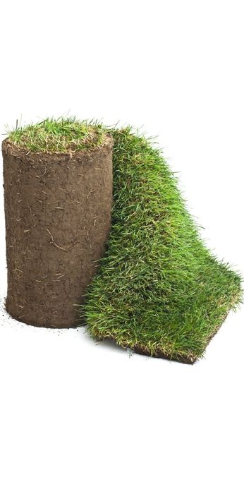 Gazon tip rulou de vanzare