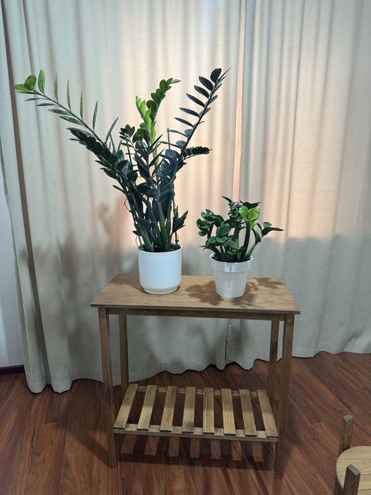 Подставки для цветов