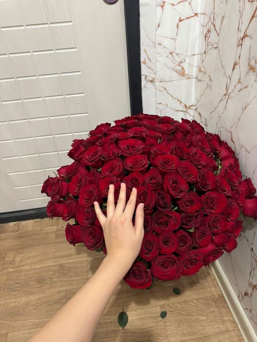 Цветый роза Гүл туркестан 101 роза