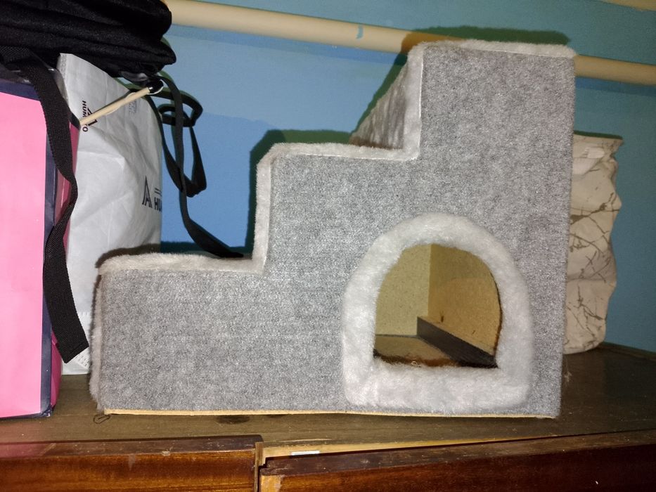 Все для кошек и котят