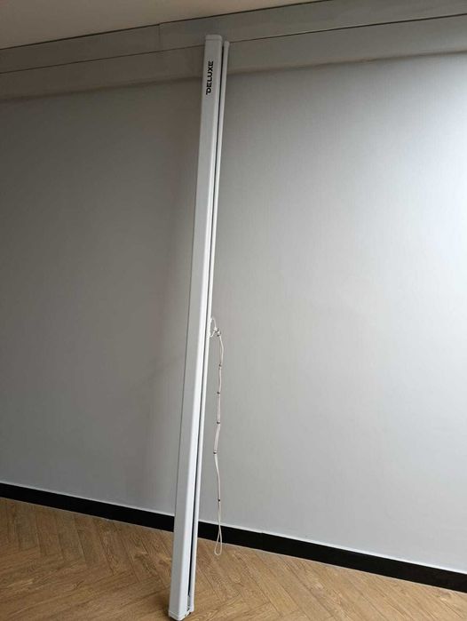 Проекционный экран De Luxe DLS-M244W