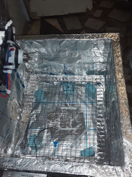 Inkubator yasash xizmati