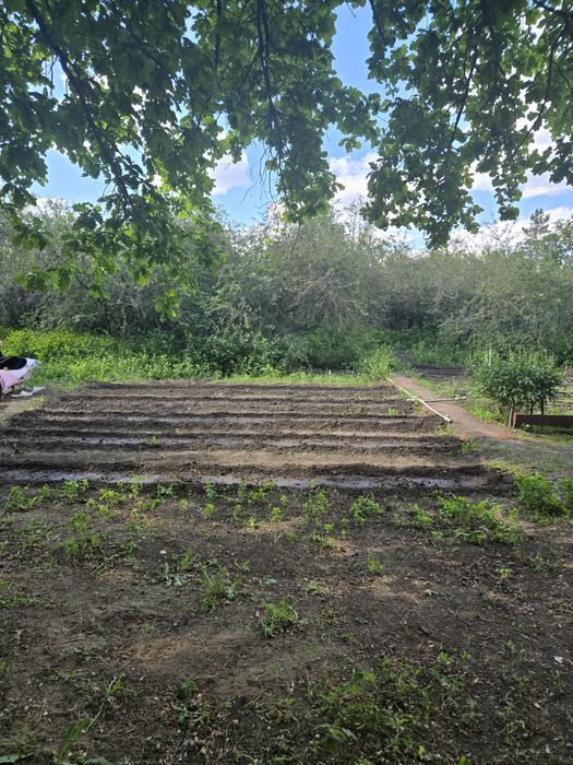 Продам дачу, келещек, геолог 3