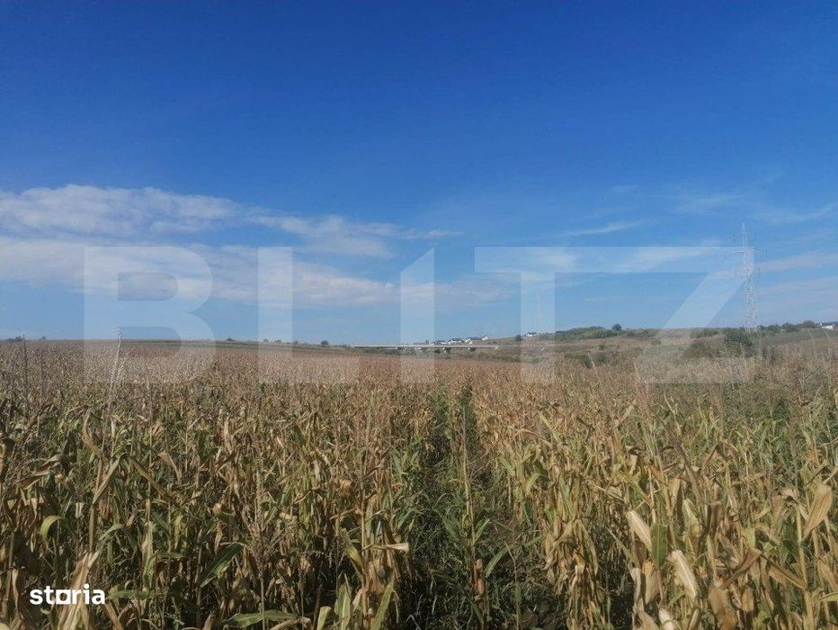 Teren 3000 mp, extravilan, Miroslava