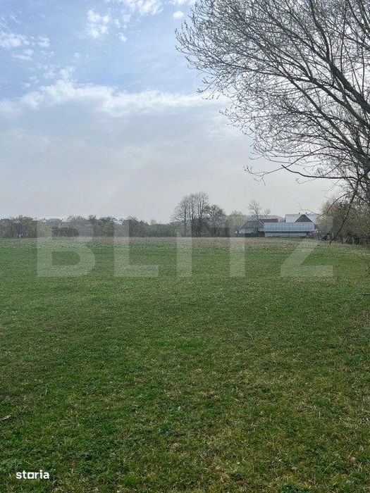 Teren intravilan- Horodnic de Jos (pret negociabil)