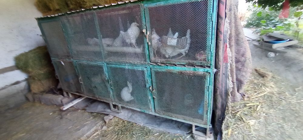 Kattak sotiladi temirlik sifati zoʻr