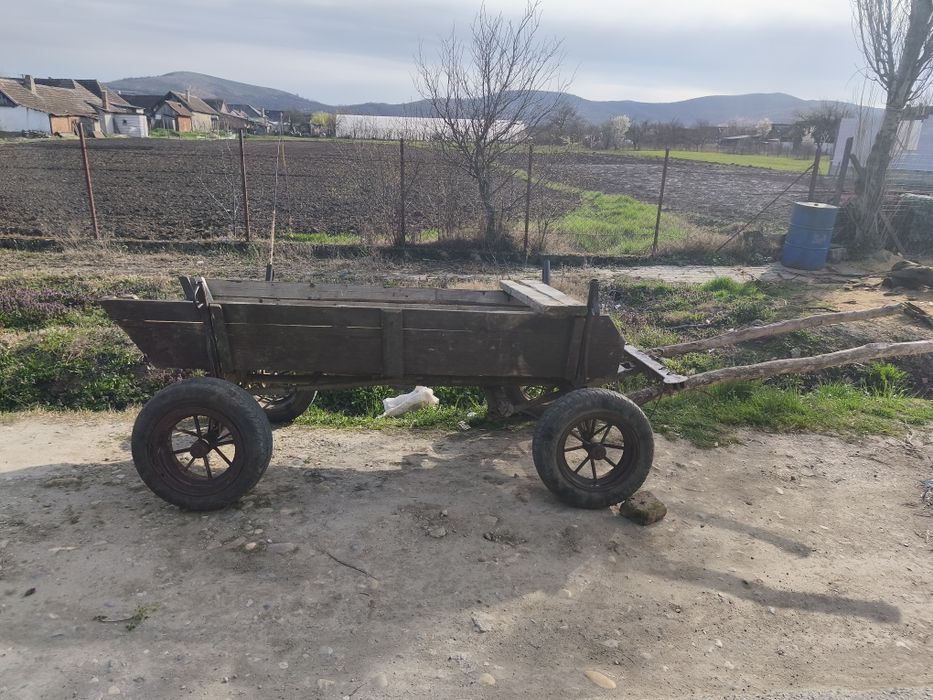 Vând un ponei armăsar