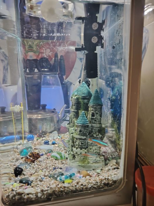 Продам аквариум 35л