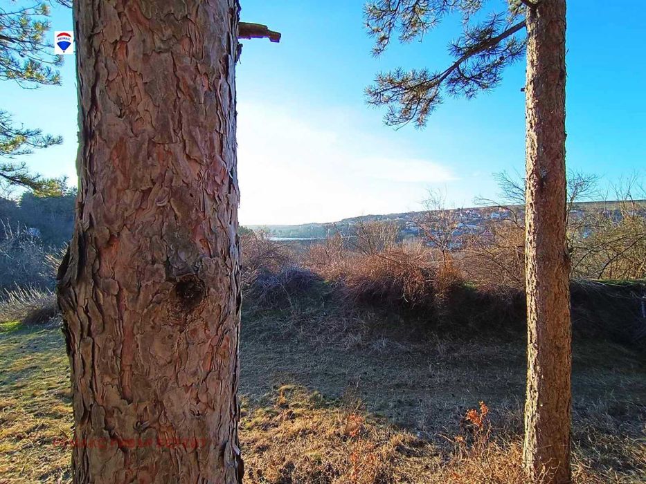 Горски масив в района на Лесопарк Липник