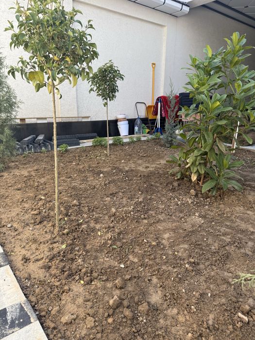 Газон готовый рулон оптом нархда