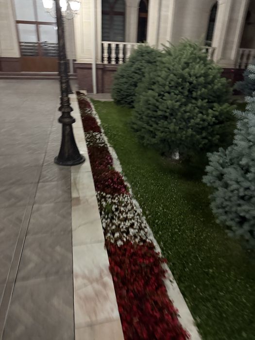 Kuzgi va Bahorgi gullar, landshaft va gul ekish xizmati