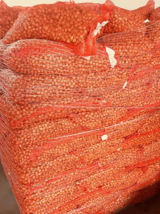 Vand arpagic stutgart