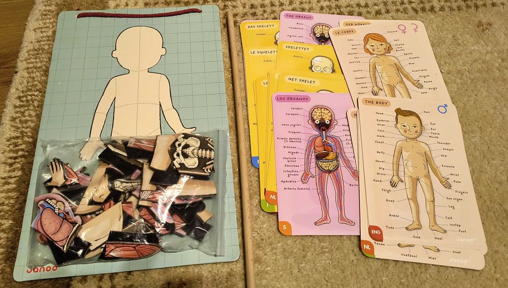 Set jocuri educative: Corpul uman, fractii, magneti