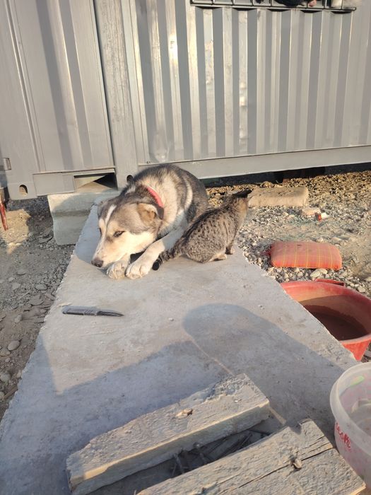 Мальчик, 1,5 года,