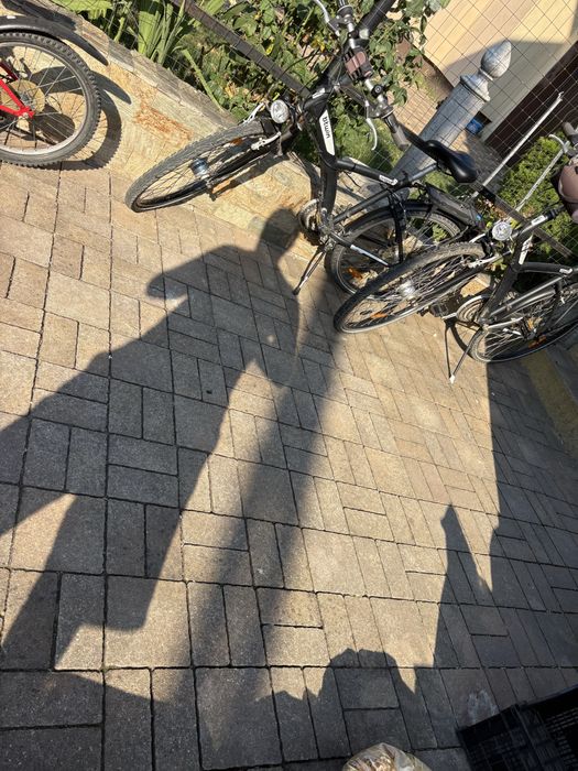 Biciclete de oras pentru familie