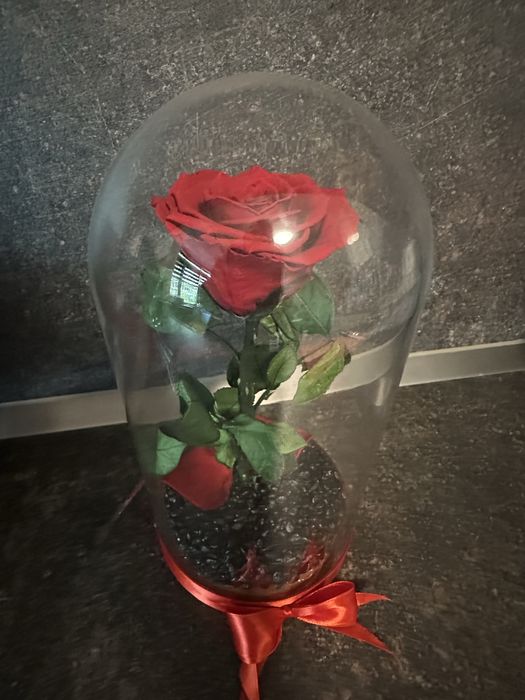 Вечна роза в стъкло