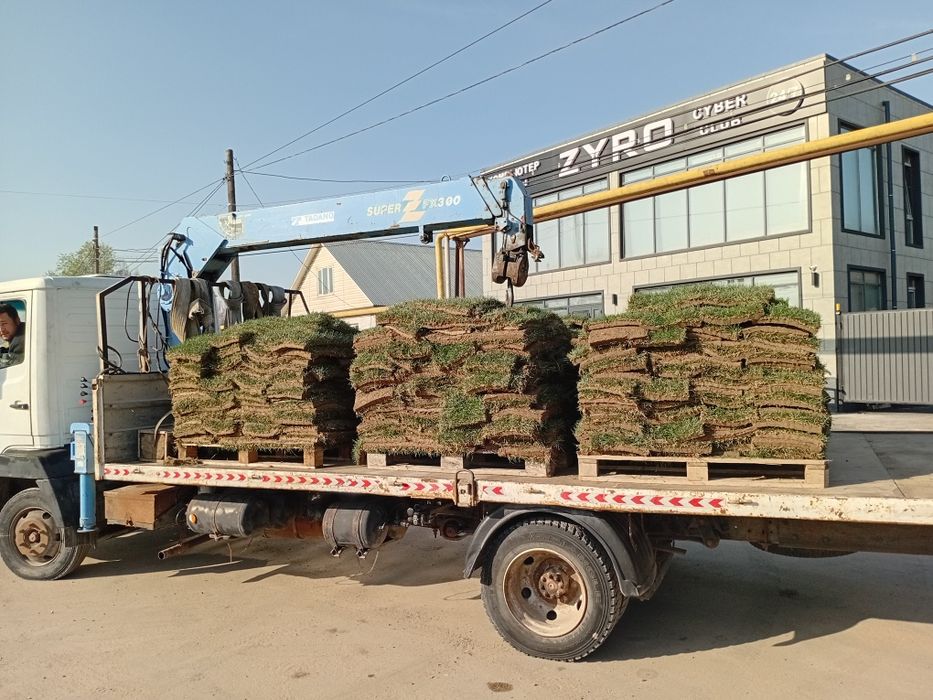 Манипулятор  услуги