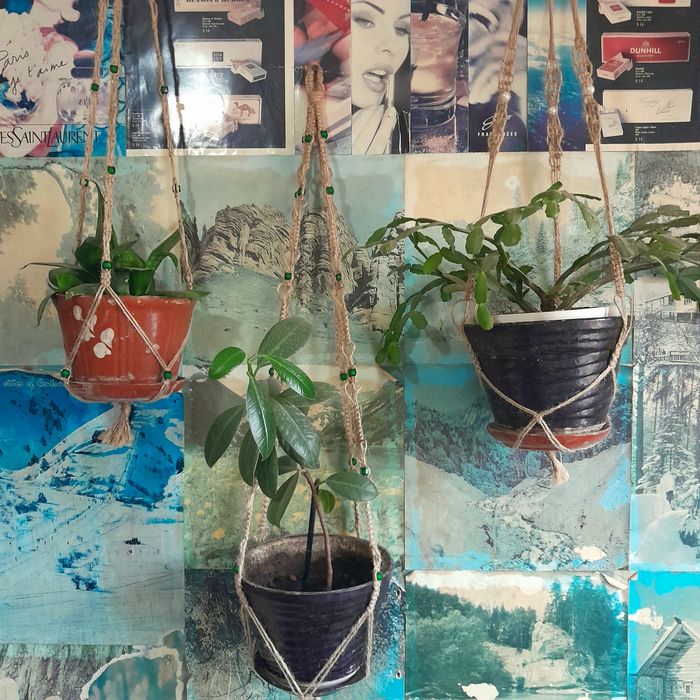 Подвесное кашпо для комнатных растений.