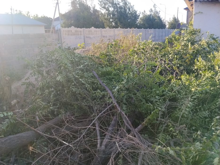 Отын тегін алып кетіңіздер