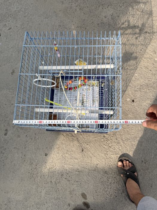 клетка для попугаев