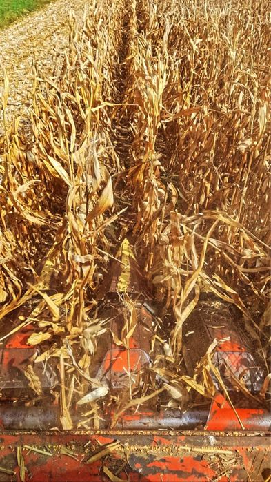 Vand combina Case 1420 internațional