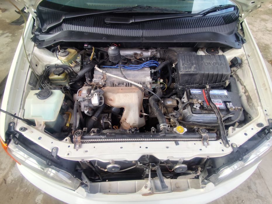 Tayota ipsum sotiladi