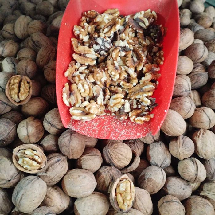 Nuca în coaja. Vând