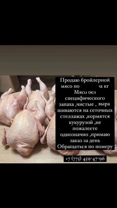 ПРОДАЁТСЯ, ПРОДАЁТСЯ,  ПРОДАЁТСЯ, продаю мясо бролерной курицы чистое