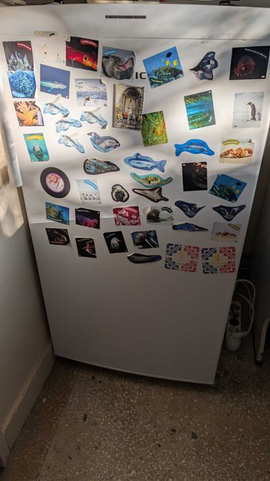 Congelator Arctic