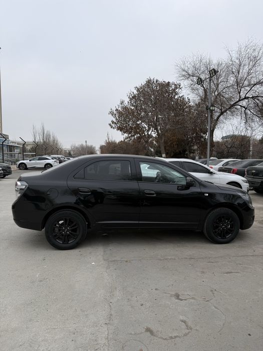 Cobalt Midnight MSM 2026