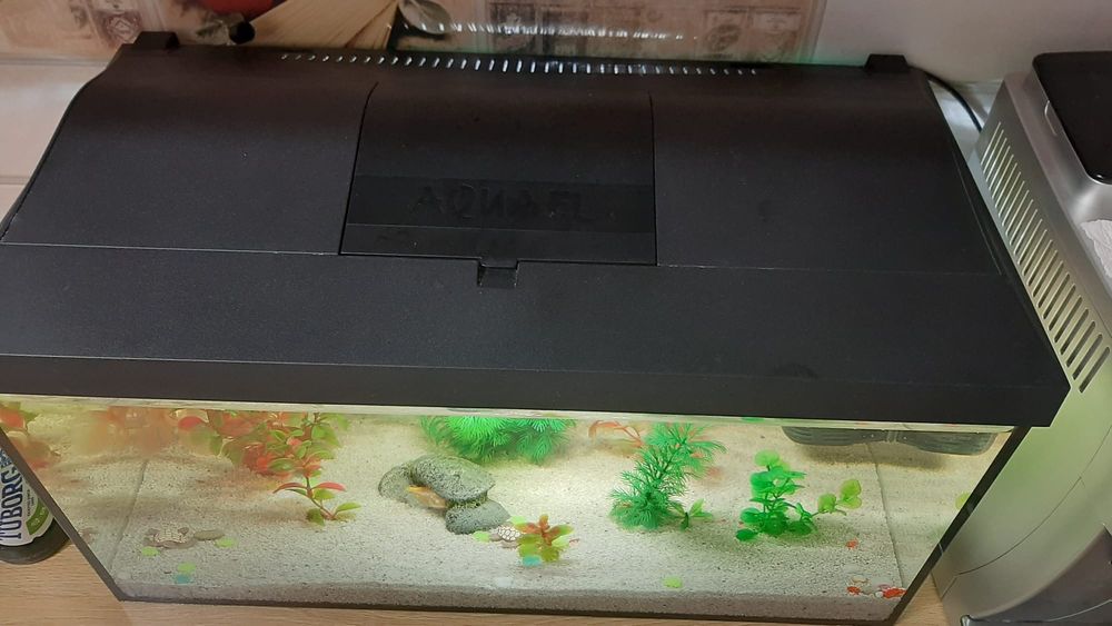 Vând acvariu 60 litri, cu decor, filtre