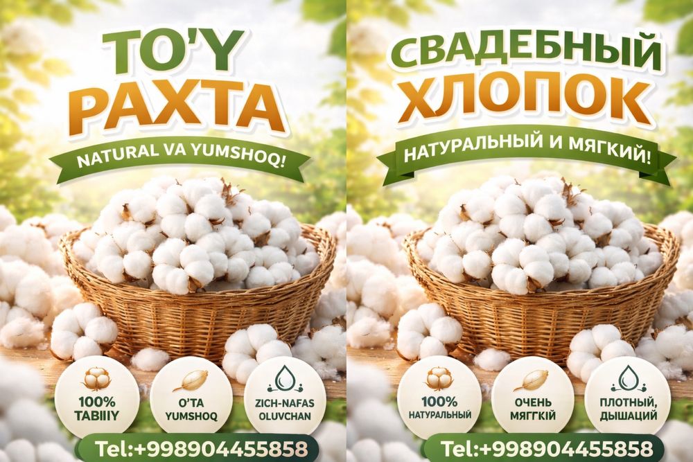 Toy Paxta sifatli va yumshoq