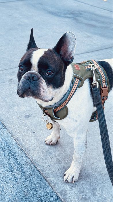 Ищем девочку для нашего красавчика Алматы-Тараз