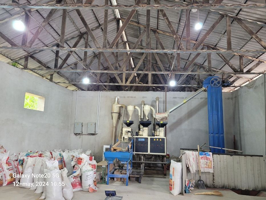 Arzon narxlarda guruchlar