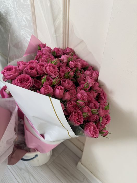 Продам красивые Цветы