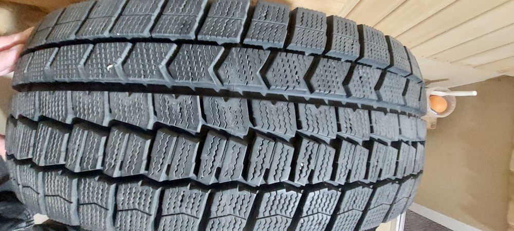 Жапон жонгелеги 4 дана