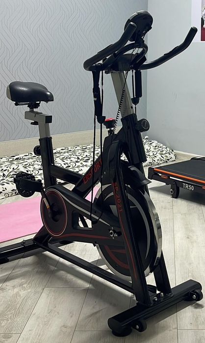 Бегонок. Велик. Холодильник