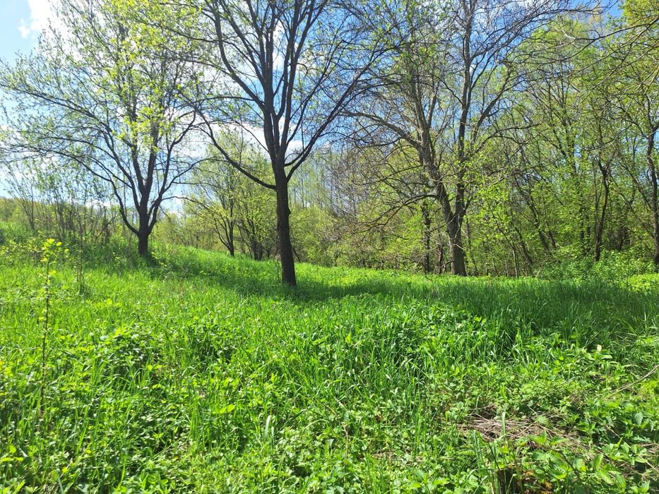 Casa + teren Cornitel