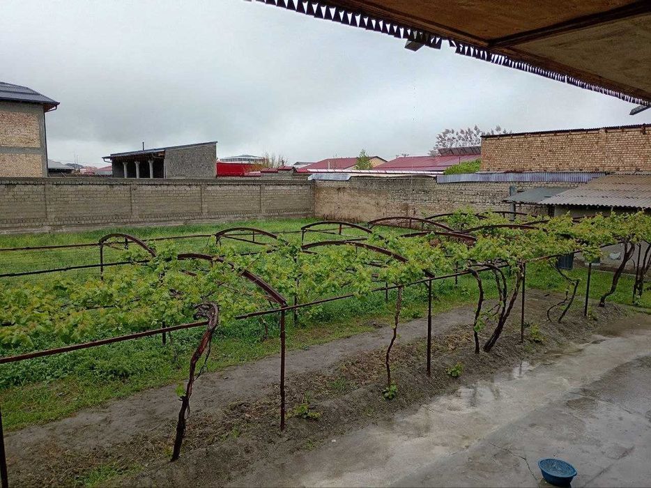 Yashash joyi bilan birga 8 sotix yir Foydalanishga Dehqonga beriladi,