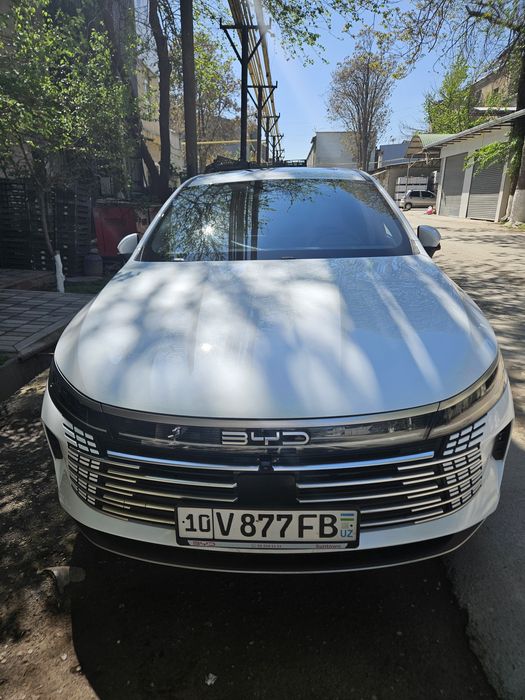 BYD CHAZOR 120km Flagship Full