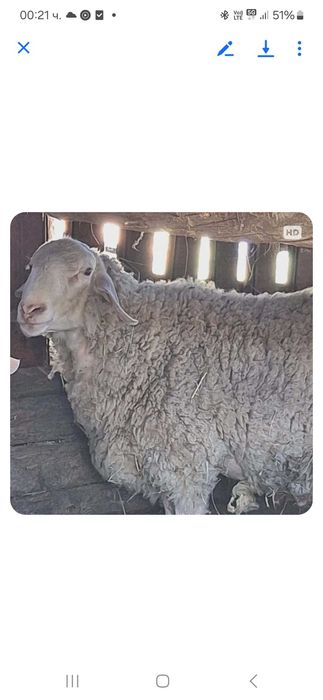 Асаф на 3 години