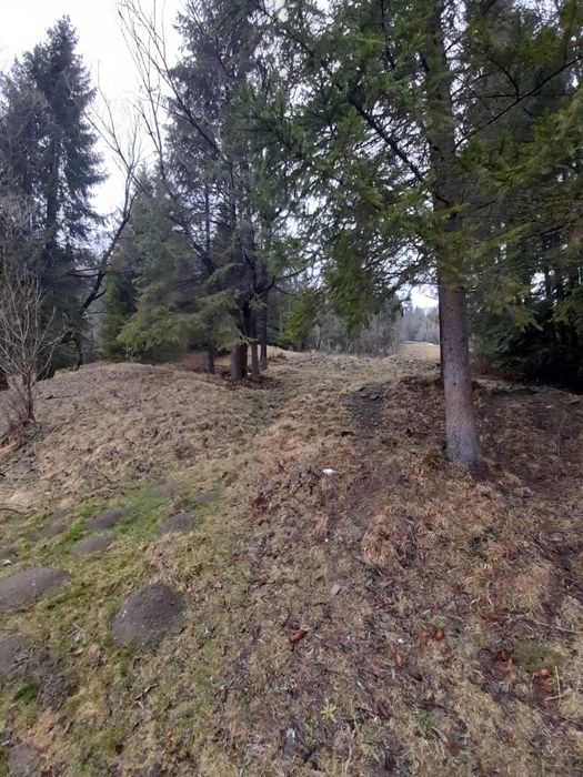 Vand teren extravilan in comuna Brodina, judetul Suceava