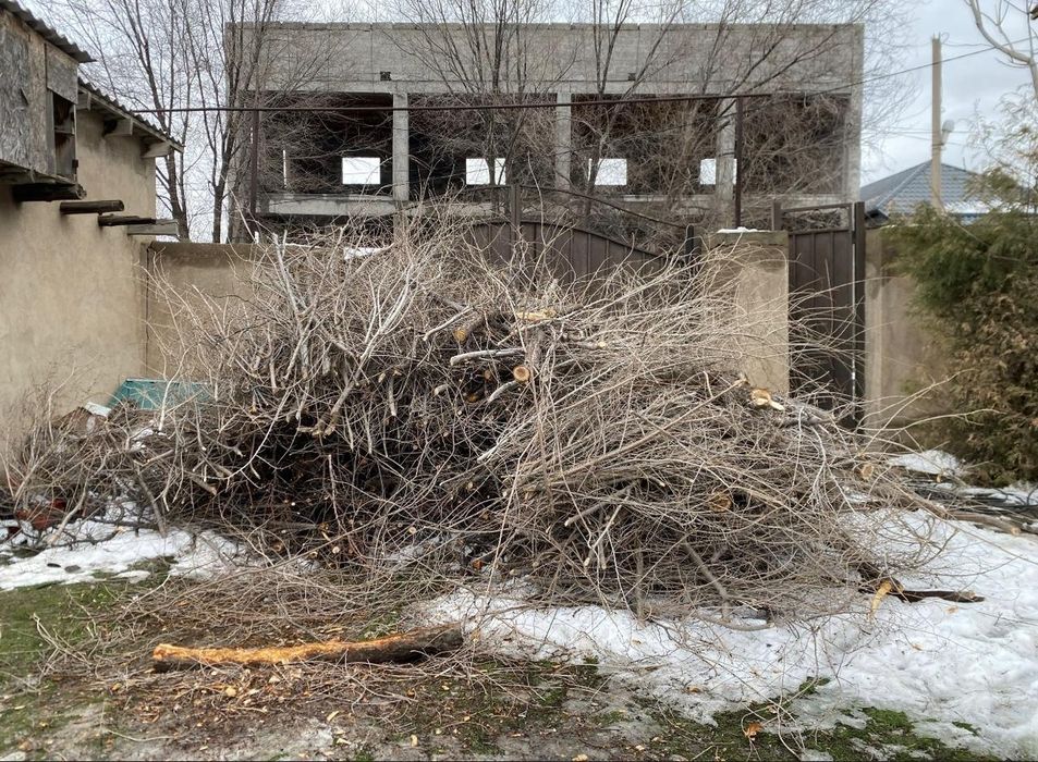 Отын тегин  беремин