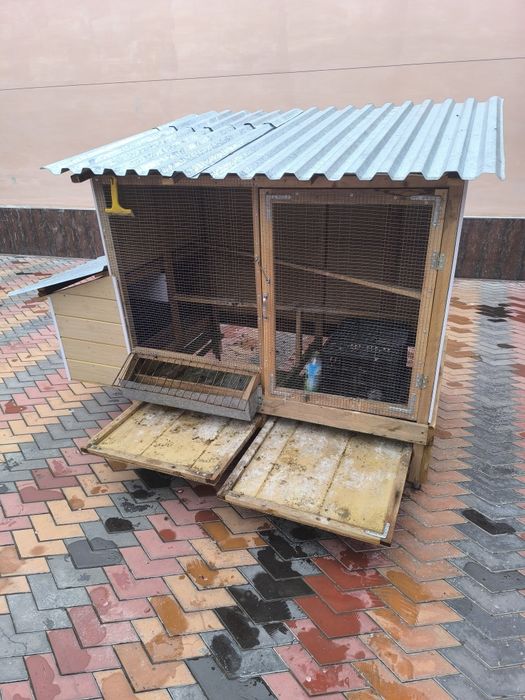 Tovuq katak Товук катак